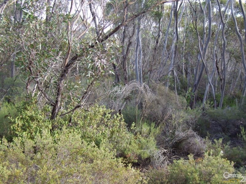 Lot 11 Cnr Seal Bay and Graham Roads, Seal Bay SA 5223