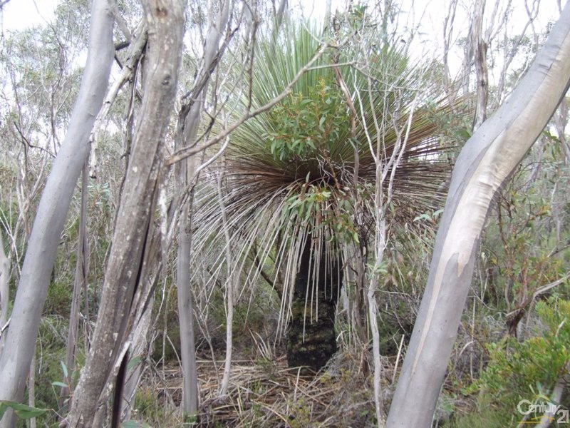 Lot 11 Cnr Seal Bay and Graham Roads, Seal Bay SA 5223