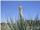 Lot 21 Government Road, D’estrees Bay SA 5223