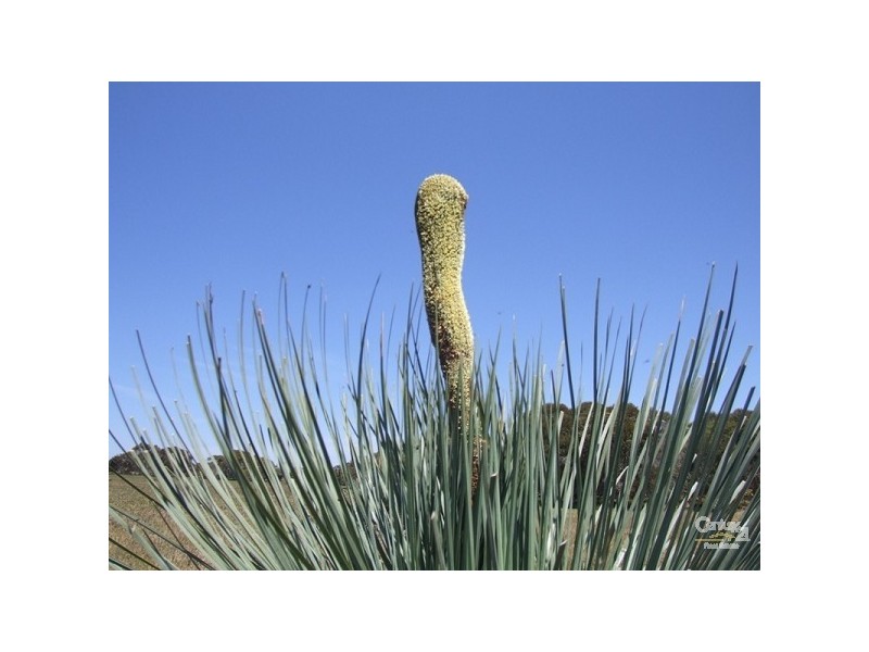 Lot 21 Government Road, D’estrees Bay SA 5223