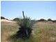 Lot 21 Government Road, D’estrees Bay SA 5223