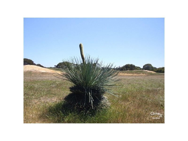 Lot 21 Government Road, D’estrees Bay SA 5223