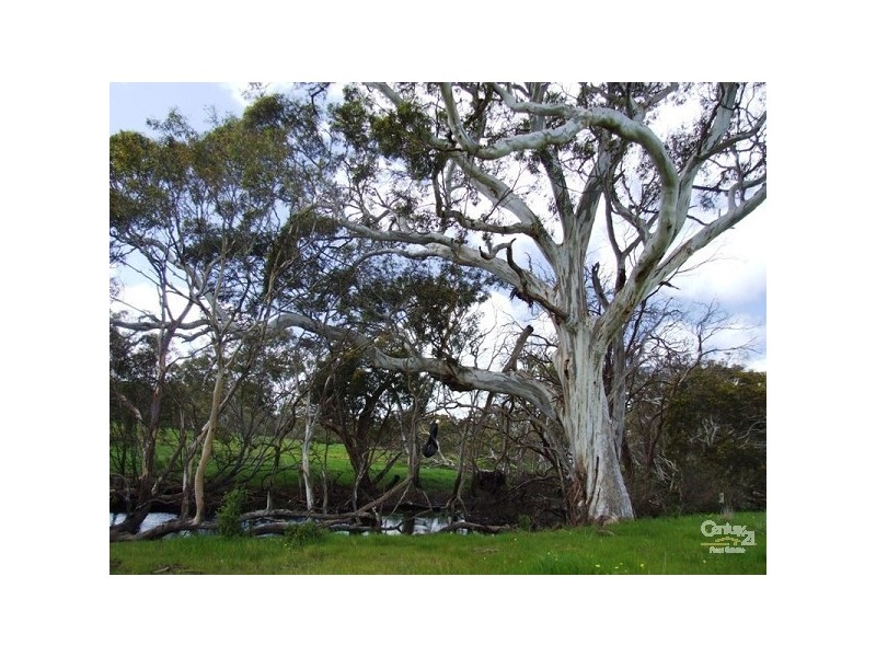Section 2012 Playford Highway, Cygnet River SA 5223