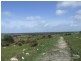 Lot 3 Three Chain Road, Haines SA 5223