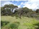 Lot 195 Riverside Drive, Baudin Beach SA 5222