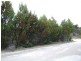 Lot 252 Cnr Willoughby and Island Beach Rd, Island Beach SA 5222