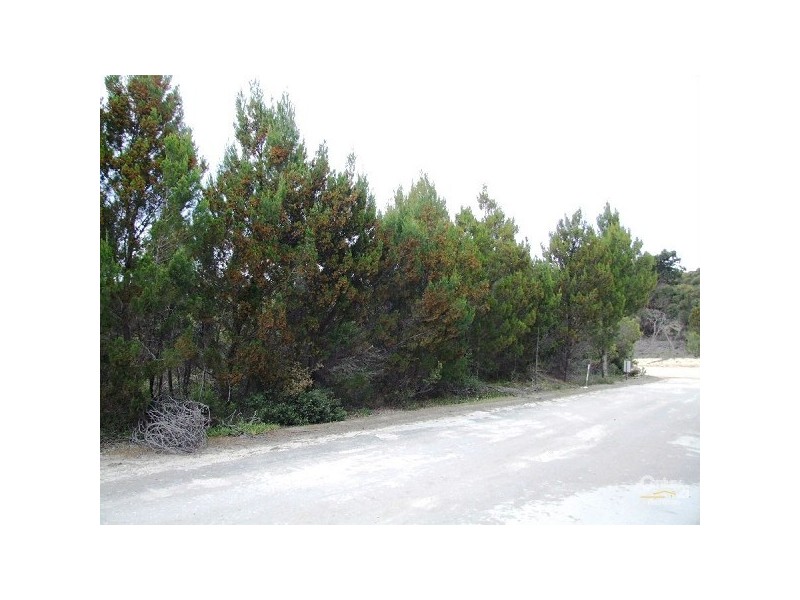 Lot 252 Cnr Willoughby and Island Beach Rd, Island Beach SA 5222