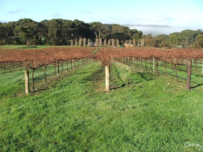 Lot 100 Willson River Road, Dudley East SA 5222