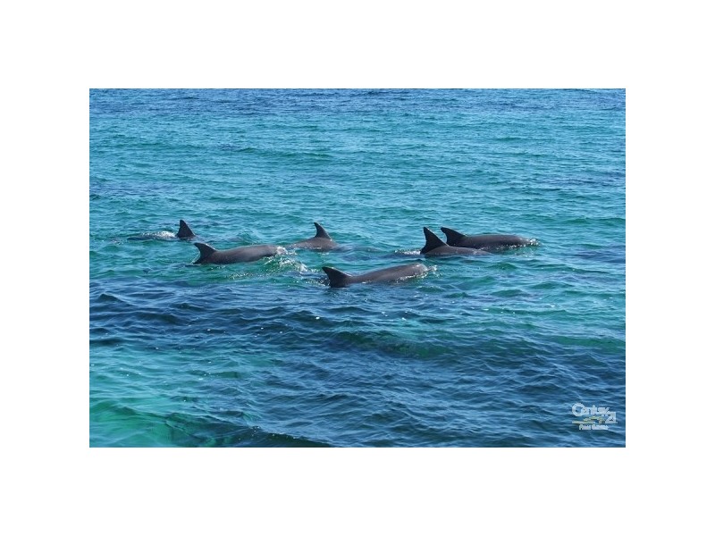 Lot 53 Vernon Court, Penneshaw SA 5222