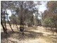 Lot 27 Failie Court, American River SA 5221