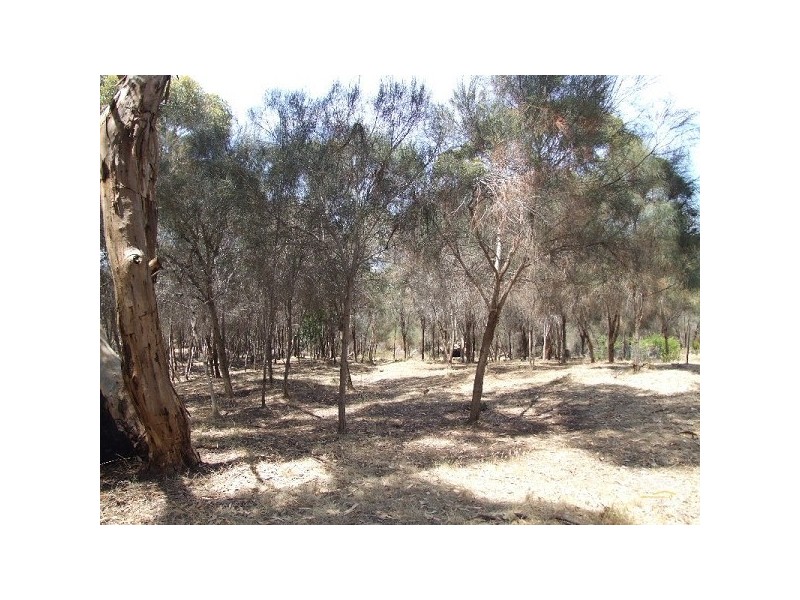 Lot 28 Failie Court, American River SA 5221