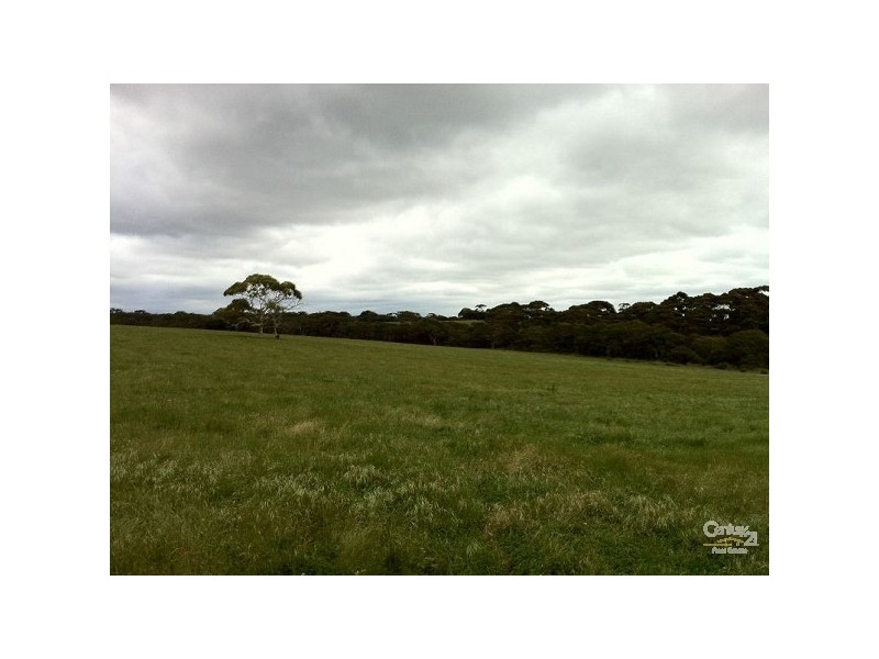 Lot 251 Gosse Ritchie Road, Karatta SA 5223