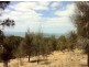 Lot 111 Wrights Road, Penneshaw SA 5222
