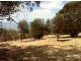 Lot 111 Wrights Road, Penneshaw SA 5222