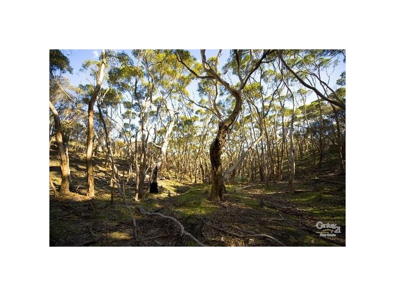 Lot 848 North Coast Road, Middle River SA 5223