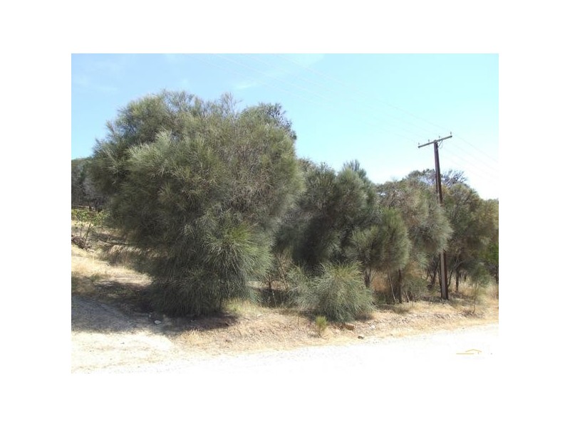 Lot 13 Mansell Street, Penneshaw SA 5222