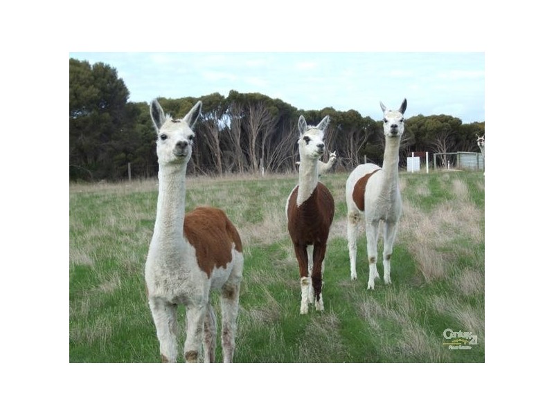 Lot 200 Emu Bay Road, Emu Bay SA 5223