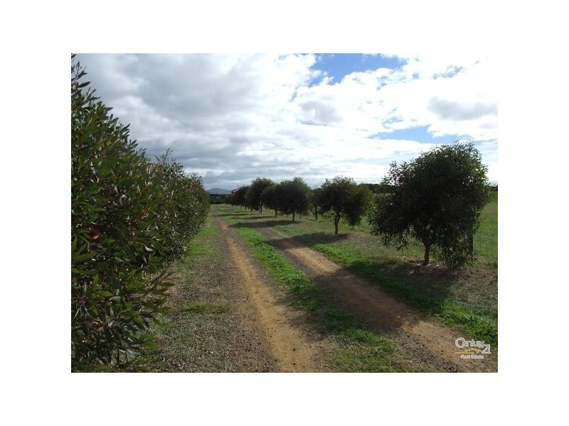 Lot 200 Emu Bay Road, Emu Bay SA 5223