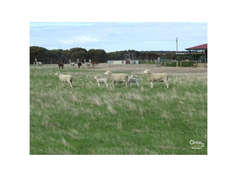 Lot 200 Emu Bay Road, Emu Bay SA 5223