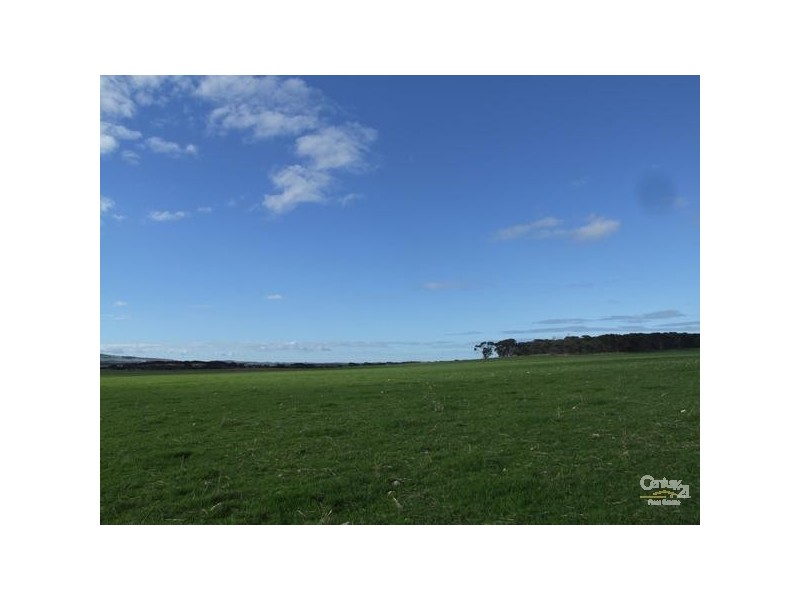 Section 66 North Coast Road, Menzies SA 5223