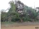 Lot 40 Dolphin Crescent, Vivonne Bay SA 5223