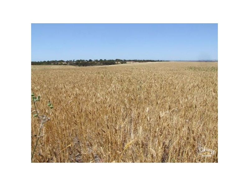 Lot 3 North Coast Road, Kingscote SA 5223