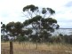 Lot 12 Bayview Road, American River SA 5221