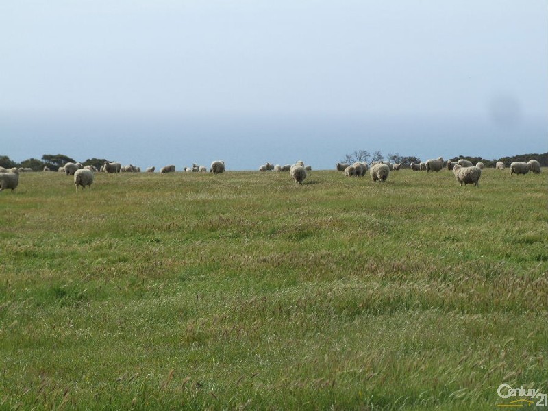 Lot 103 North Coast Road, Wisanger SA 5223