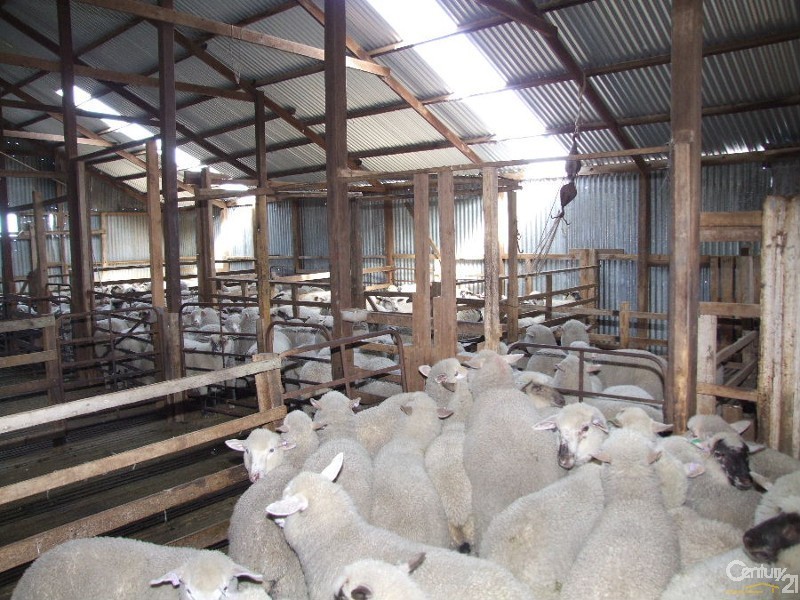 Lot 103 North Coast Road, Wisanger SA 5223