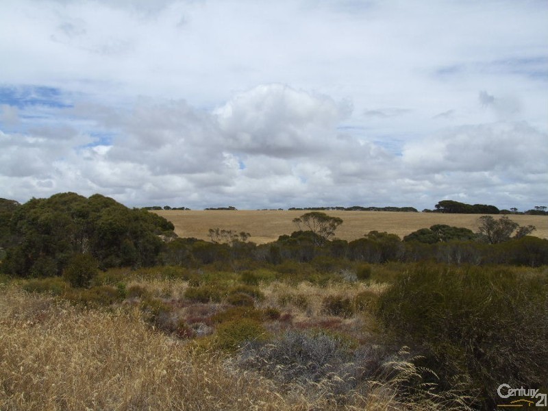 Lot 51 Birchmore Road, Macgillivray SA 5223