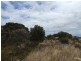 Lot 51 Birchmore Road, Macgillivray SA 5223