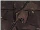 Lot 51 Birchmore Road, Macgillivray SA 5223