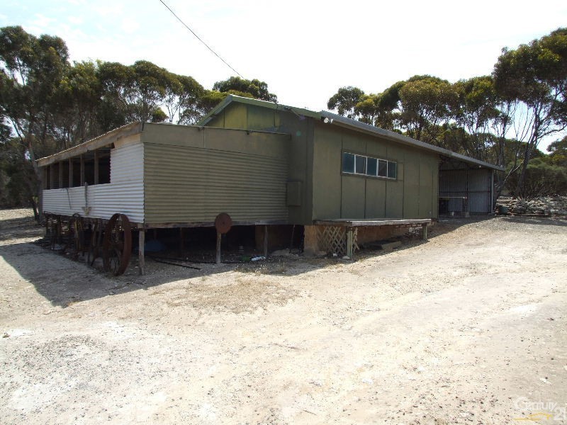 163 Stevens Road, Bay Of Shoals SA 5223