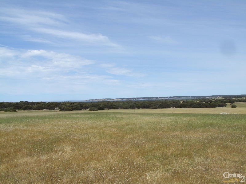 163 Stevens Road, Bay Of Shoals SA 5223