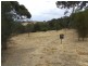 Lot 16 Redbanks Road, American River SA 5221