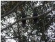 Lot 16 Redbanks Road, American River SA 5221