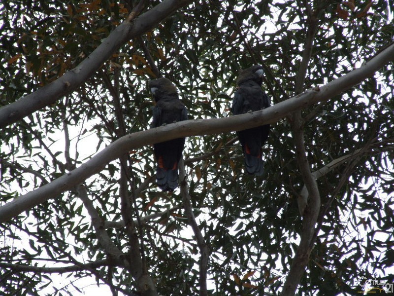 Lot 16 Redbanks Road, American River SA 5221