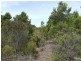 Lot 251 Cassini Road, Island Beach SA 5222