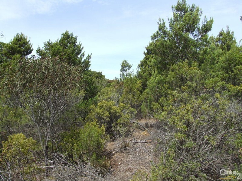 Lot 251 Cassini Road, Island Beach SA 5222