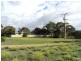 43 Beach Crescent, Baudin Beach SA 5222
