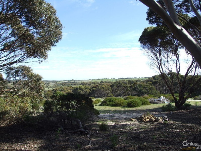 2502 Hog Bay Road, Haines SA 5223