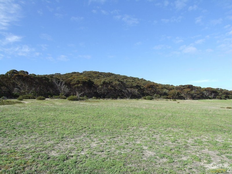 2502 Hog Bay Road, Haines SA 5223