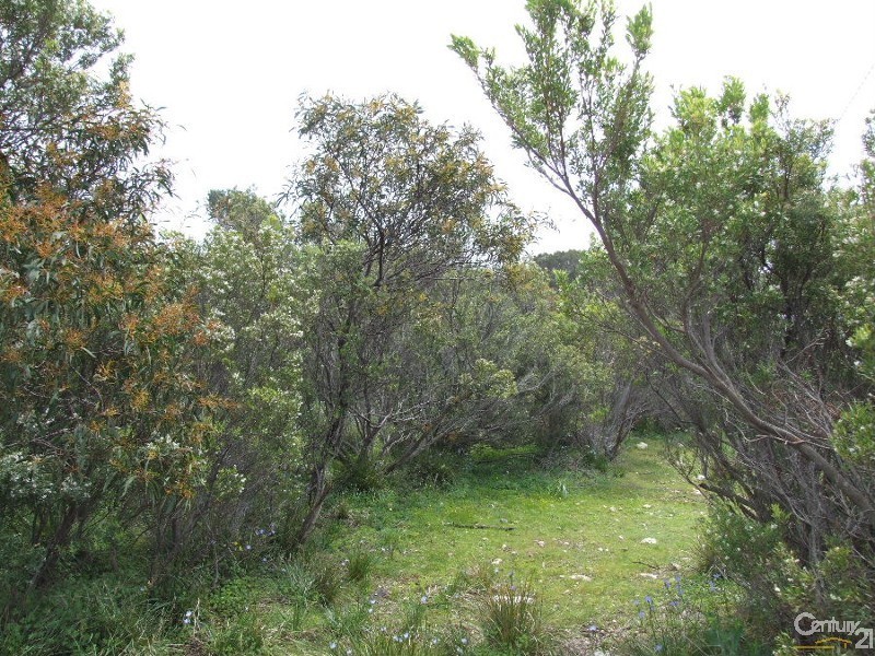 Lot 9 Coral Crescent, Island Beach SA 5222