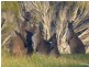 676 Min Oil Road, Nepean Bay SA 5223