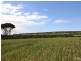 Lot 894 North Coast Road, Wisanger SA 5223