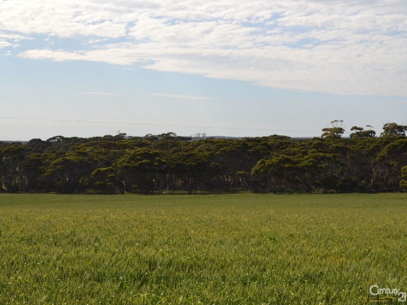 Lot 894 North Coast Road, Wisanger SA 5223