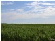 Section 96 North Coast Road, Wisanger SA 5223
