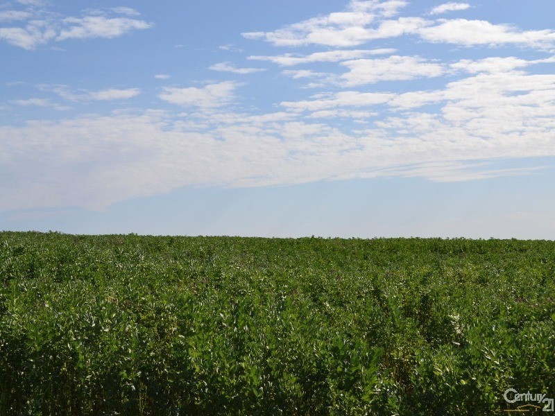 Section 96 North Coast Road, Wisanger SA 5223