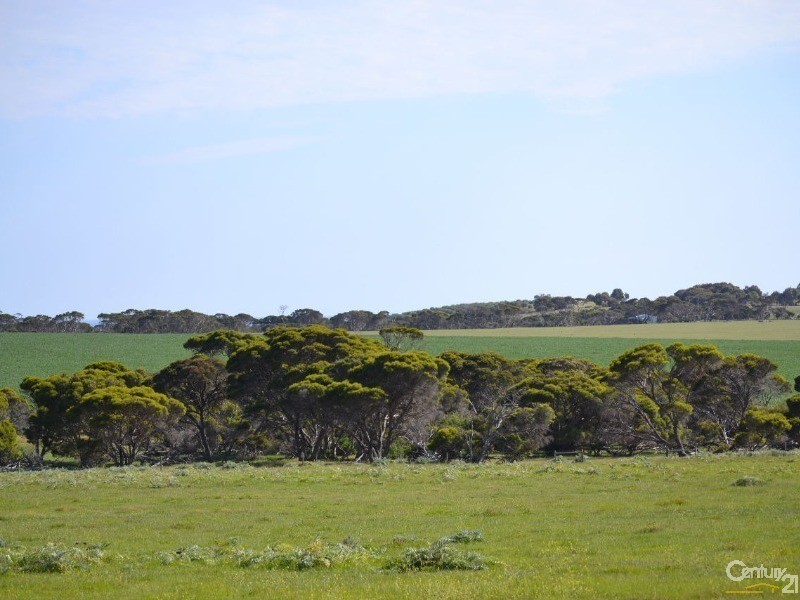 Section 96 North Coast Road, Wisanger SA 5223