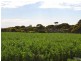 Section 96 North Coast Road, Wisanger SA 5223